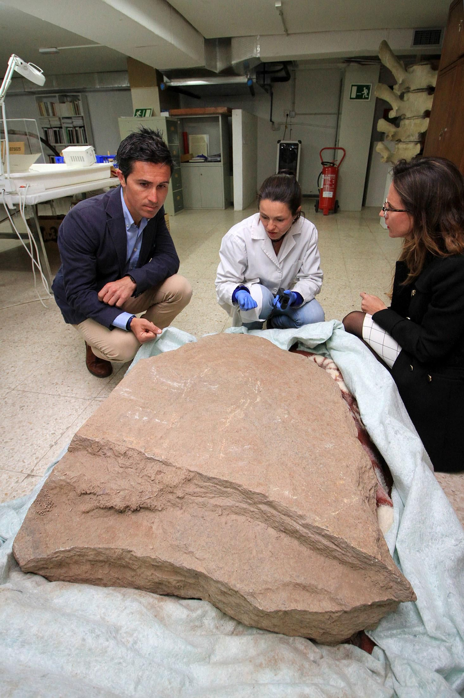 Imágenes de la llegada al museo de Huelva de la estela de cerca de 5.000 años de antigüedad hallada en Cañaveral de León