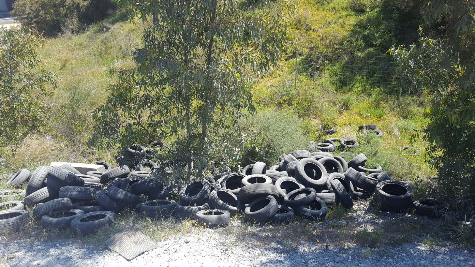 Parte de los neumáticos que había en el lugar.