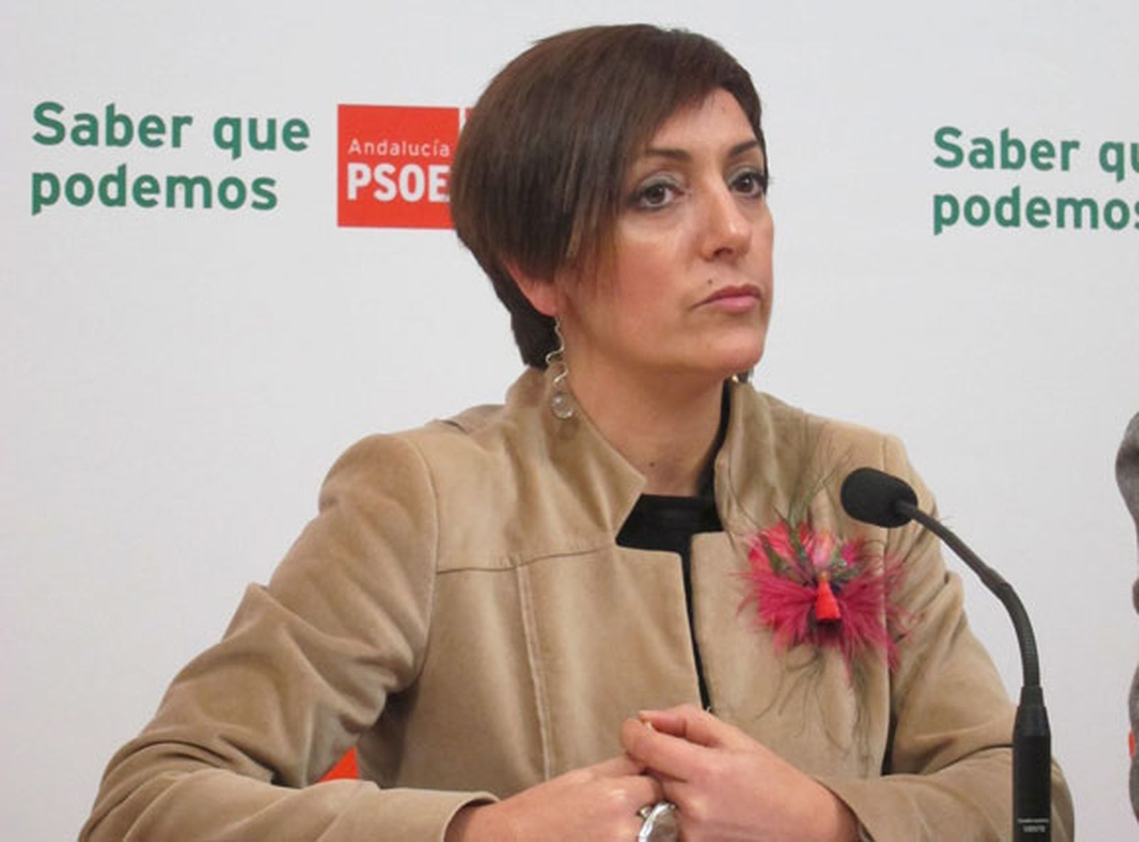 Marta Meléndez dimite como portavoz del PSOE en el Ayuntamiento