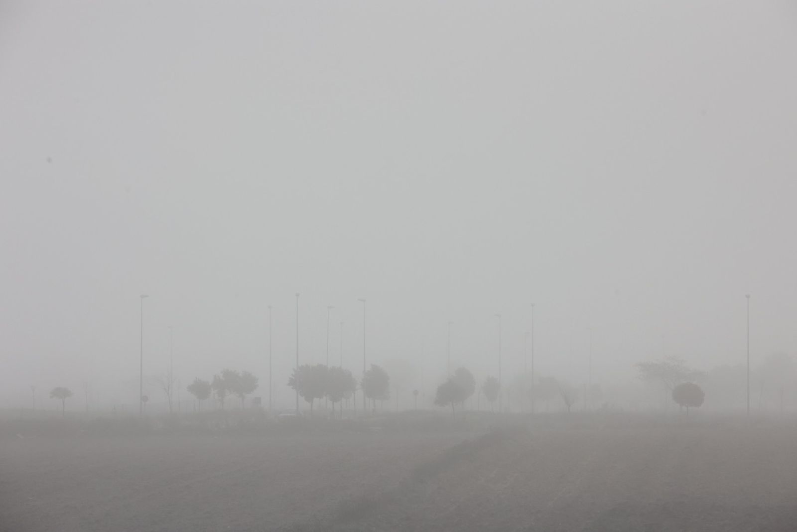 Densa niebla en Jerez