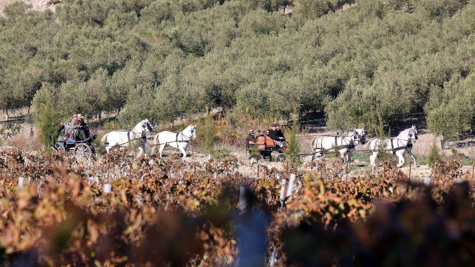 II Ruta Viñas de Jerez