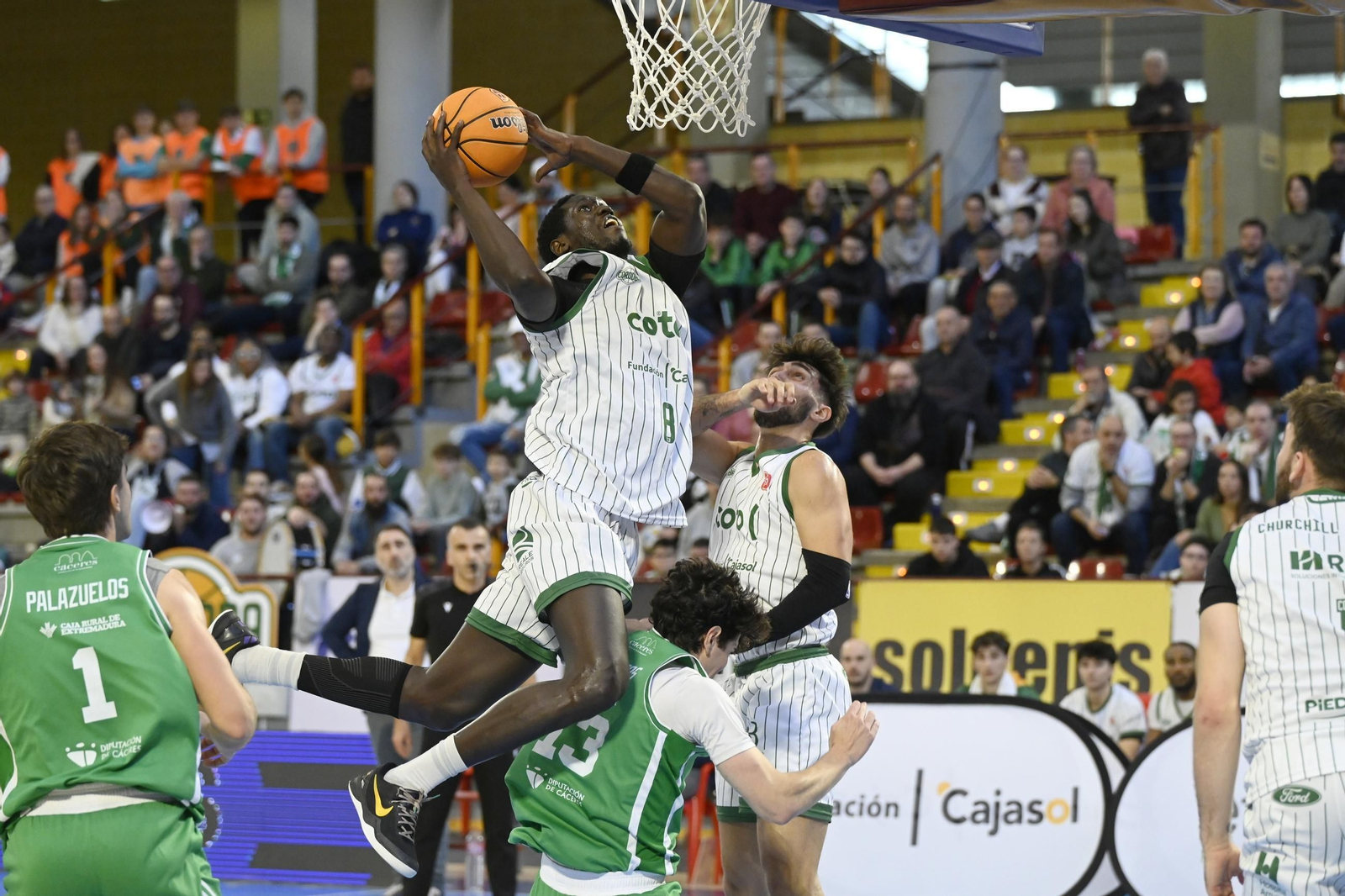 Las mejores fotos del ambiente en el Coto Córdoba - Cáceres Patrimonio de la Humanidad