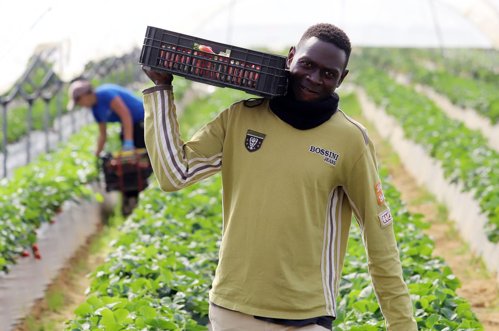 Imágenes de la realidad del trabajo en el campo