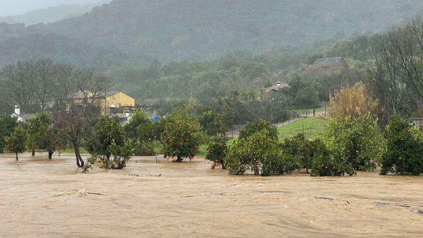 Río Guadiaro en la Estación de Jimera de Líbar