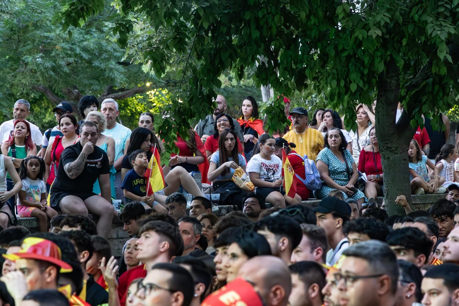 La euforia jiennense por la victoria de España, imágenes