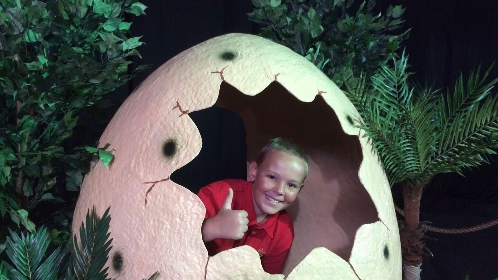 Huevo de dinosaurio.