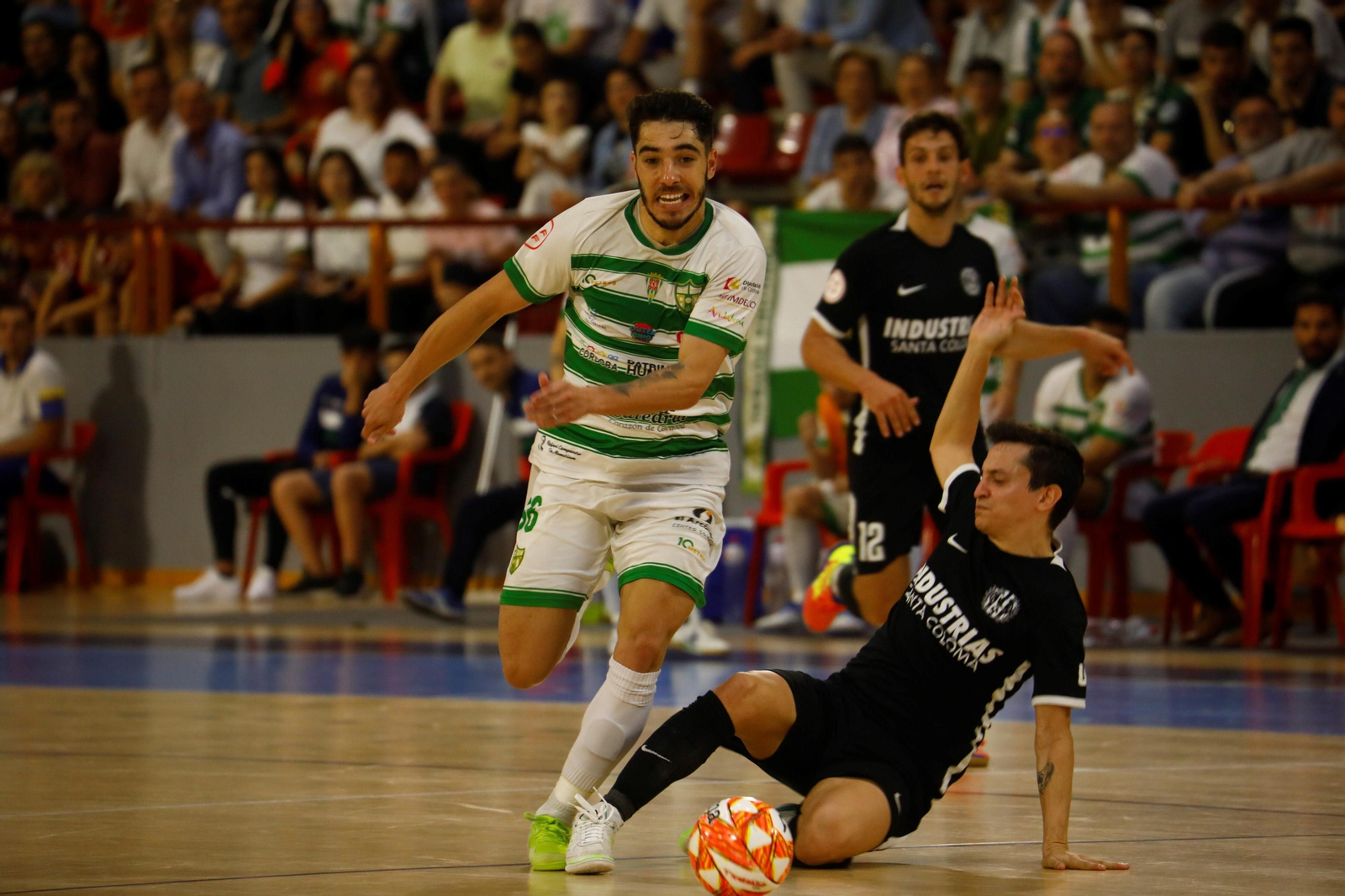 La victoria del Córdoba Futsal a Industrias Santa Coloma, en imágenes