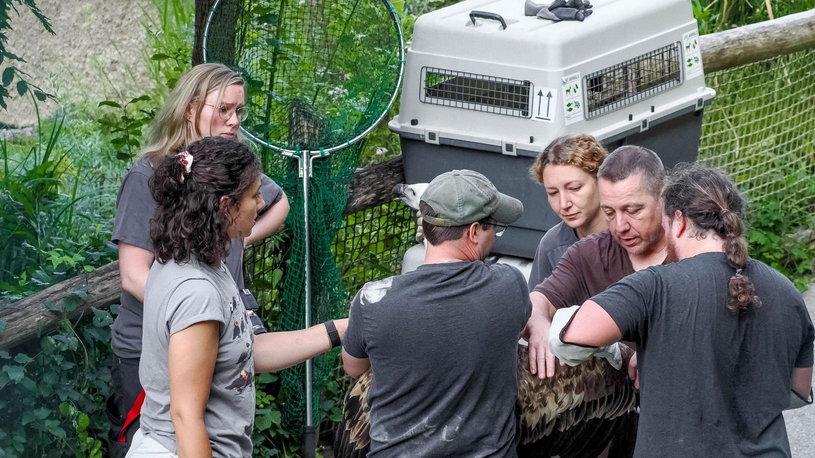 Cuidadores del zoo de Salzburgo, con uno de los ejemplares.