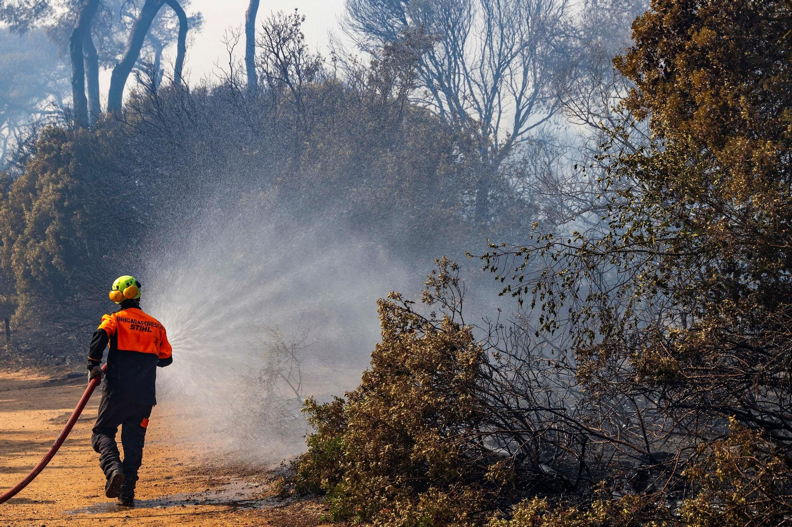 Un bombero forestal en las labores de extinción del incendio de Las Canteras, en Puerto Real, en 2023.