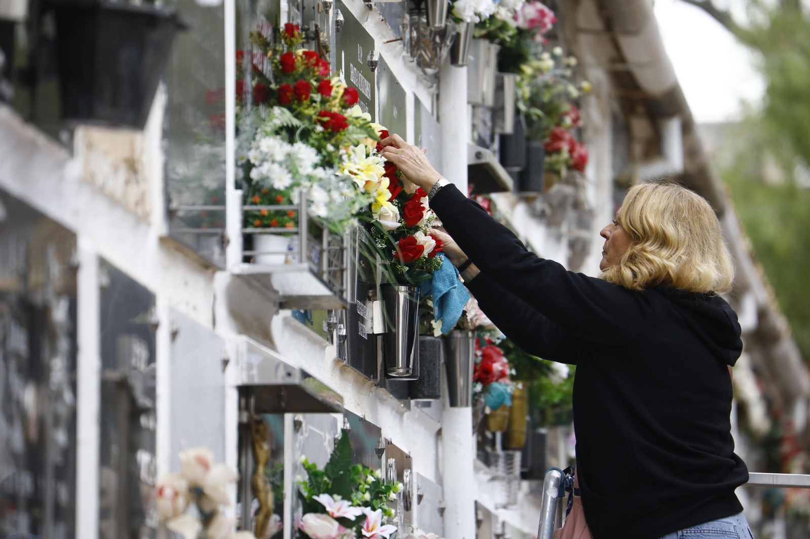 Las imágenes de los preparativos de los cementerios de Córdoba por el día de Todos los Santos