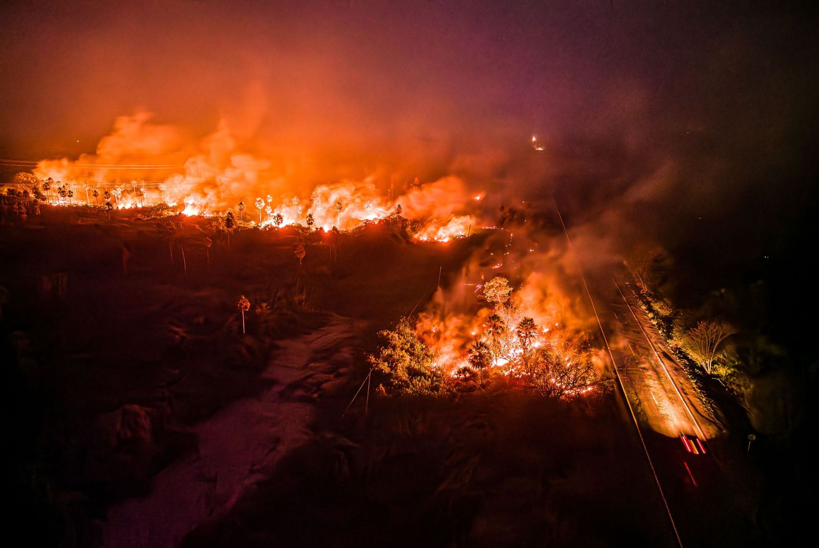 Las llamas convierten en una tumba al aire libre El Pantanal en Brasil