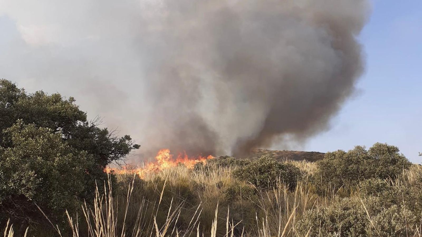 Incendio en el paraje Chorro de las Avispas