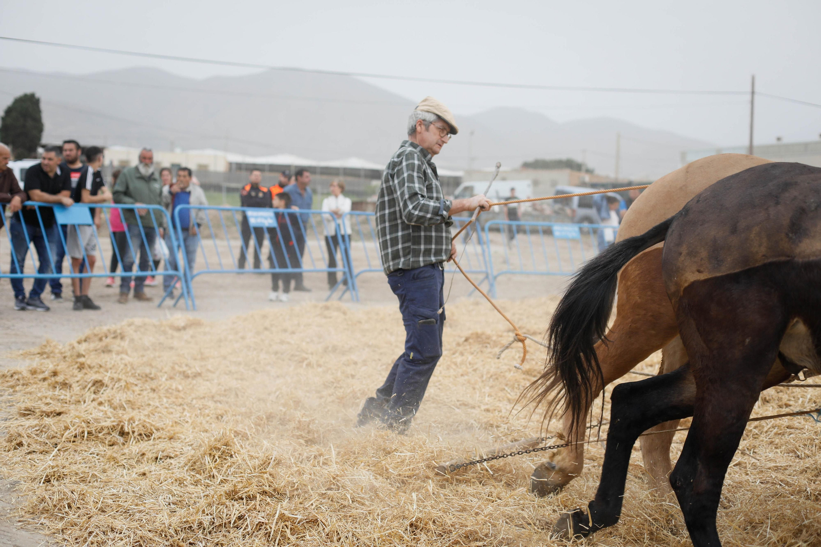 Galería de la Feria  de ganado en Tarambana