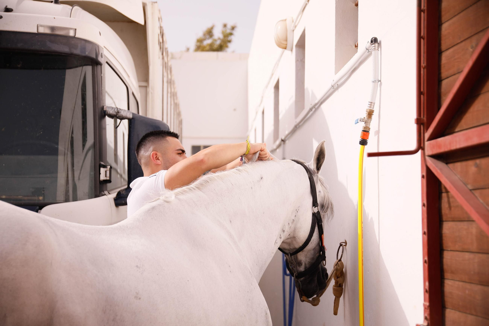 Imágenes de la corrida de toros en Roquetas de Mar