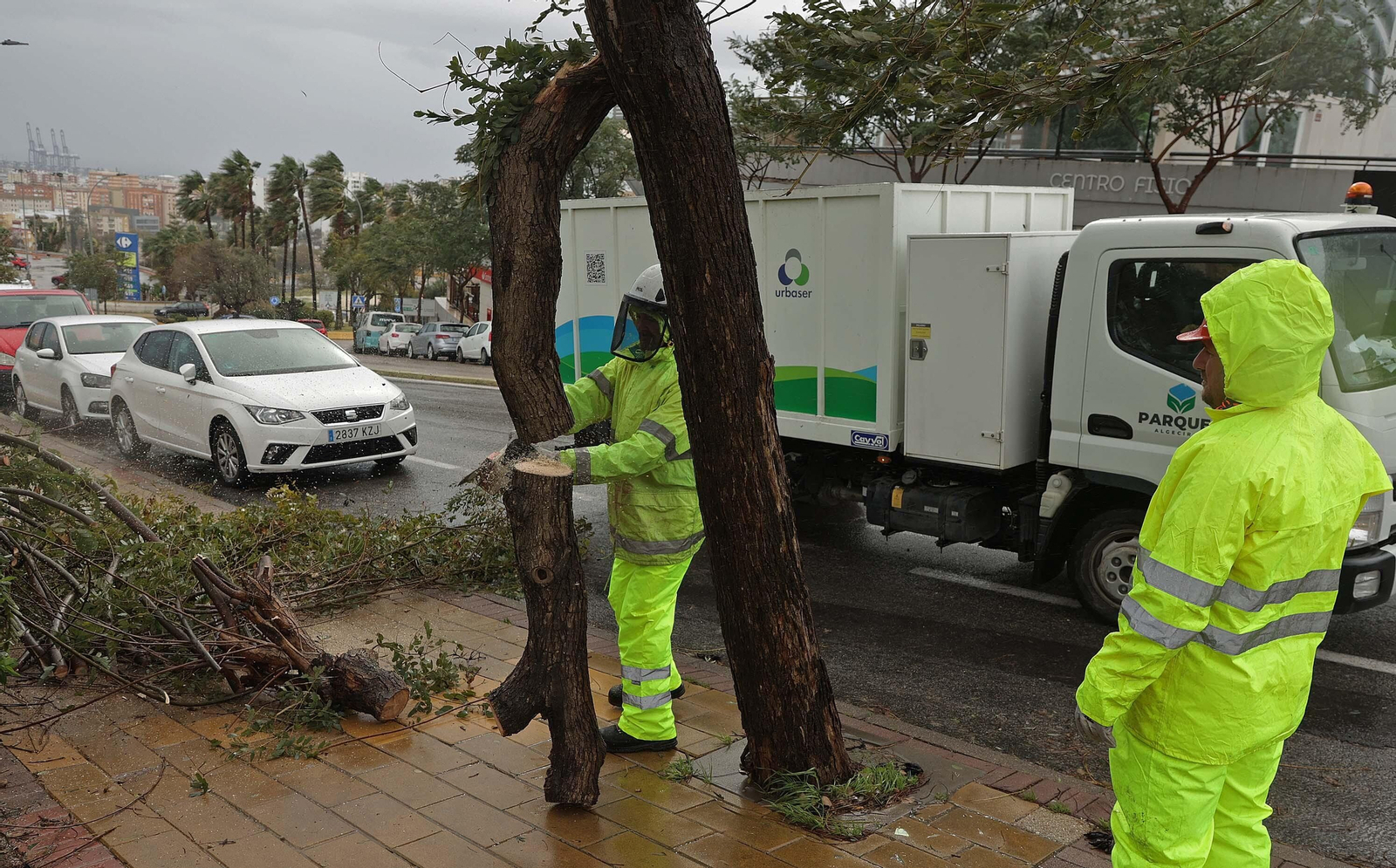 Fotos de los daños del temporal Karlotta en Algeciras
