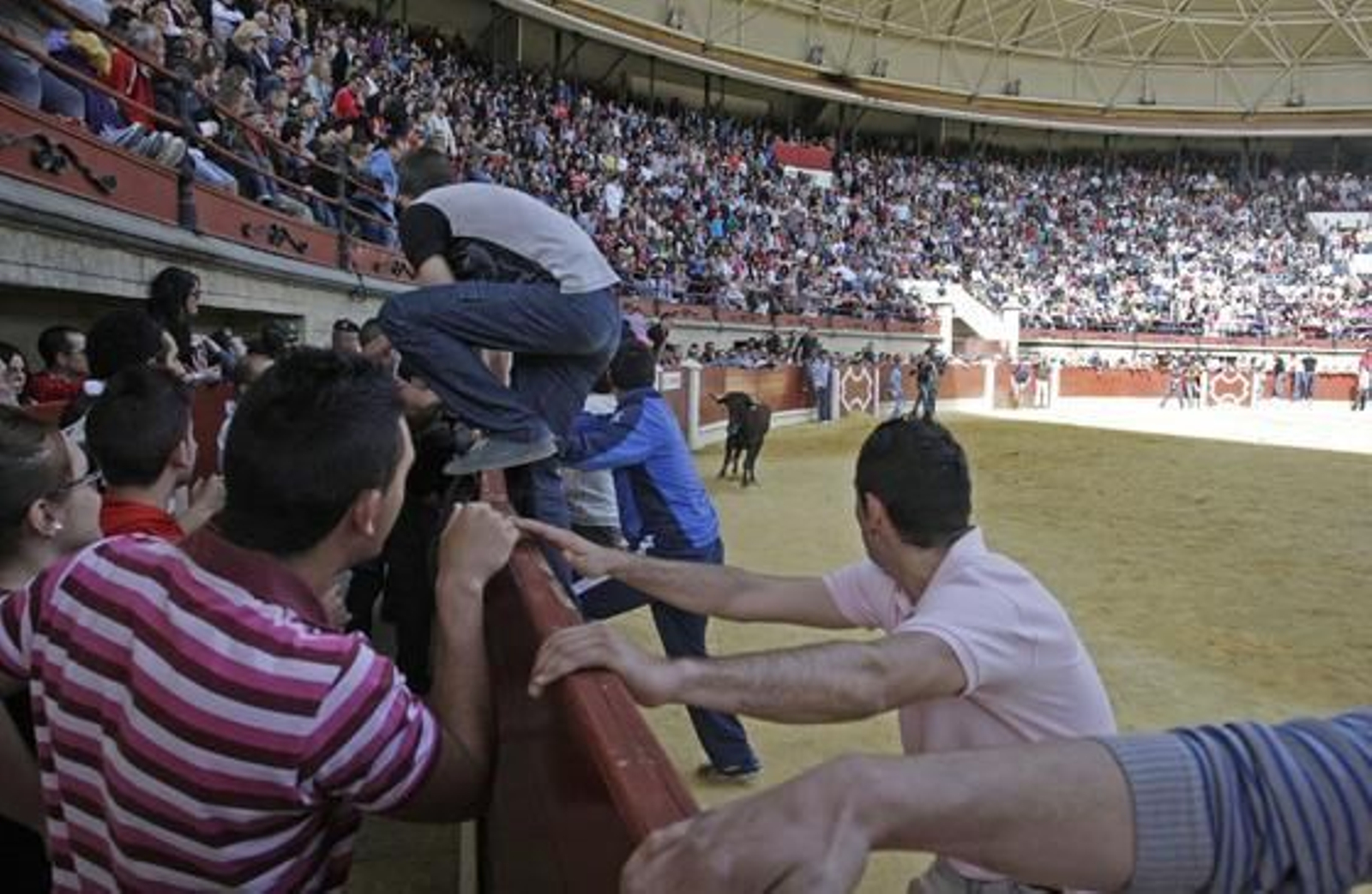 Foto: J.M.Q./Erasmo Fenoy