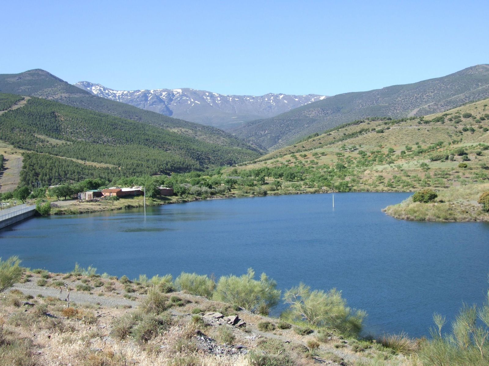 Pantaneta de Fiñana.