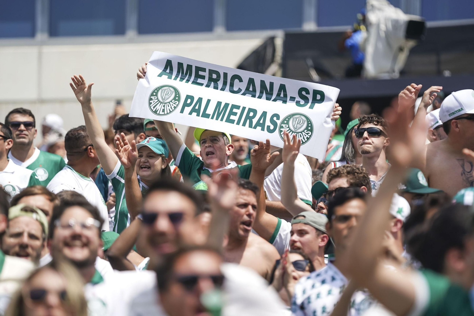 Palmeiras-Botafogo (47).jpg