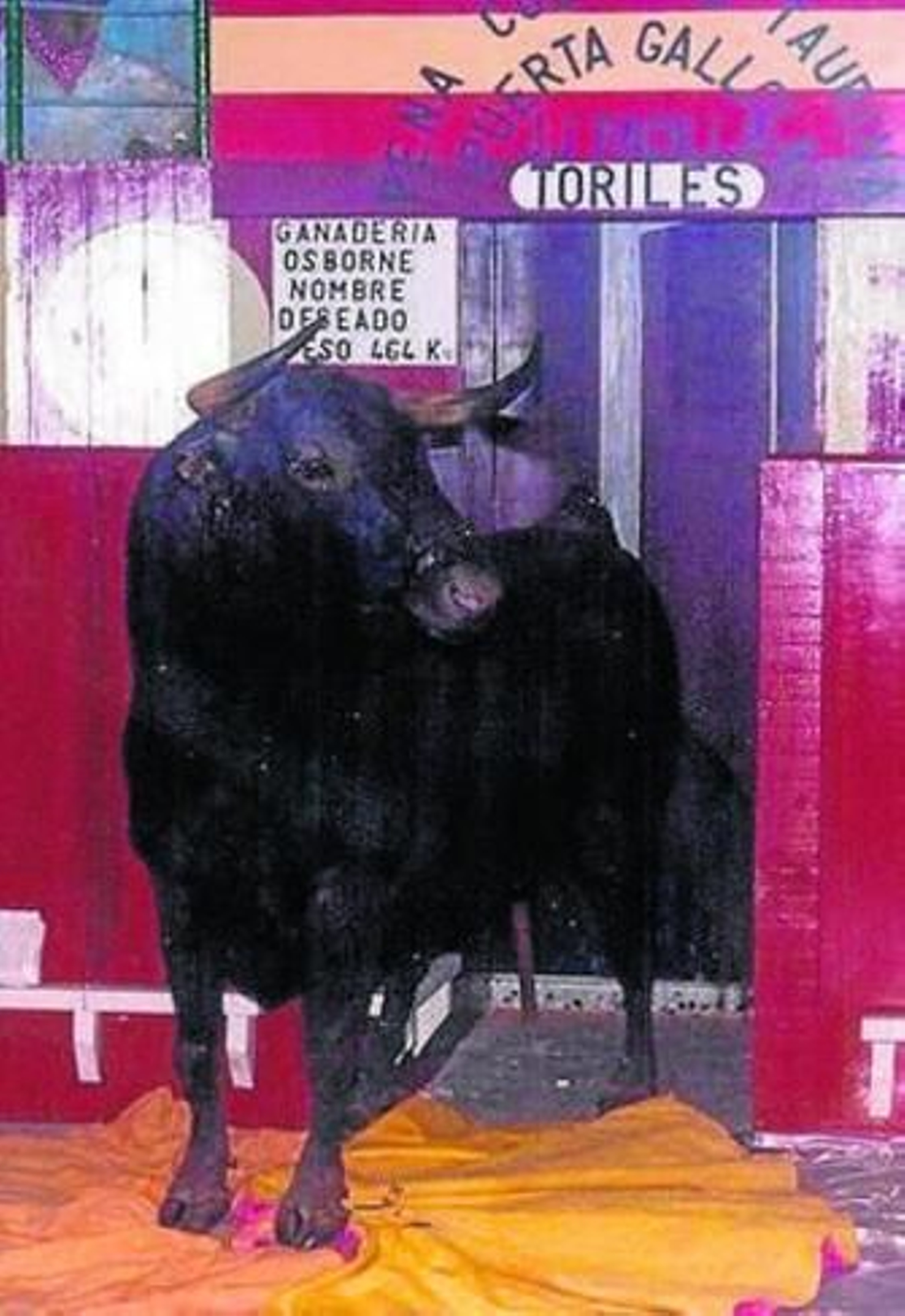 Imagen de 'Deseado'.