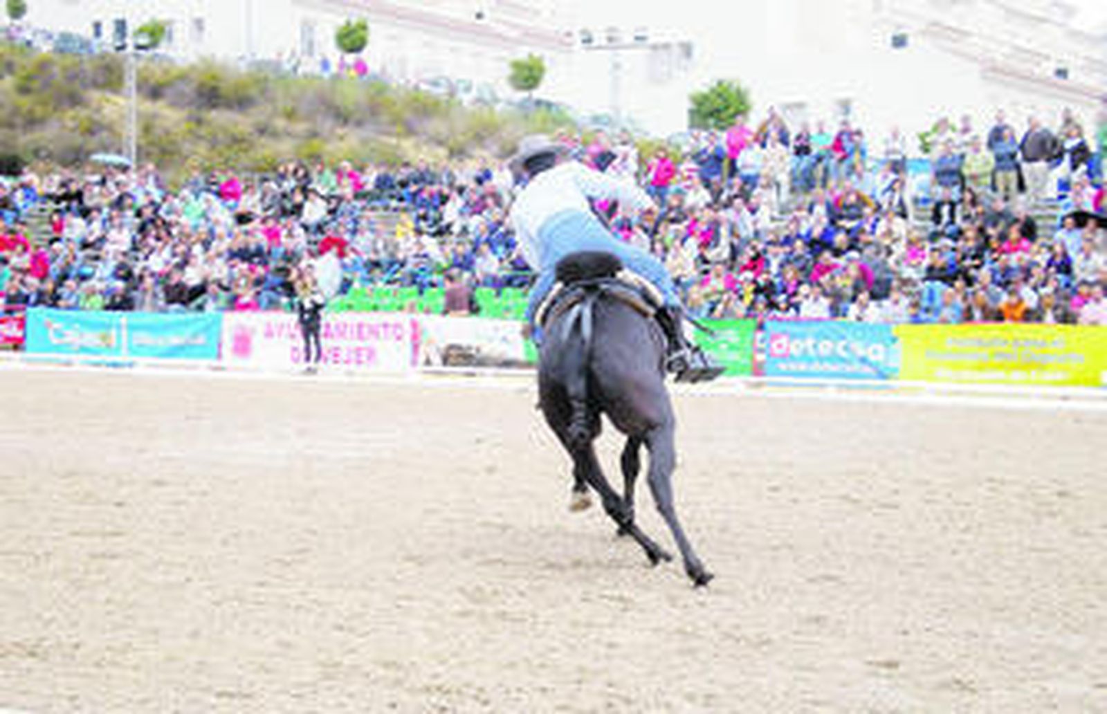 Blas Álvarez, con 'Carbonero', sumó un nuevo éxito a su palmarés al acabar tercero de Andalucía.