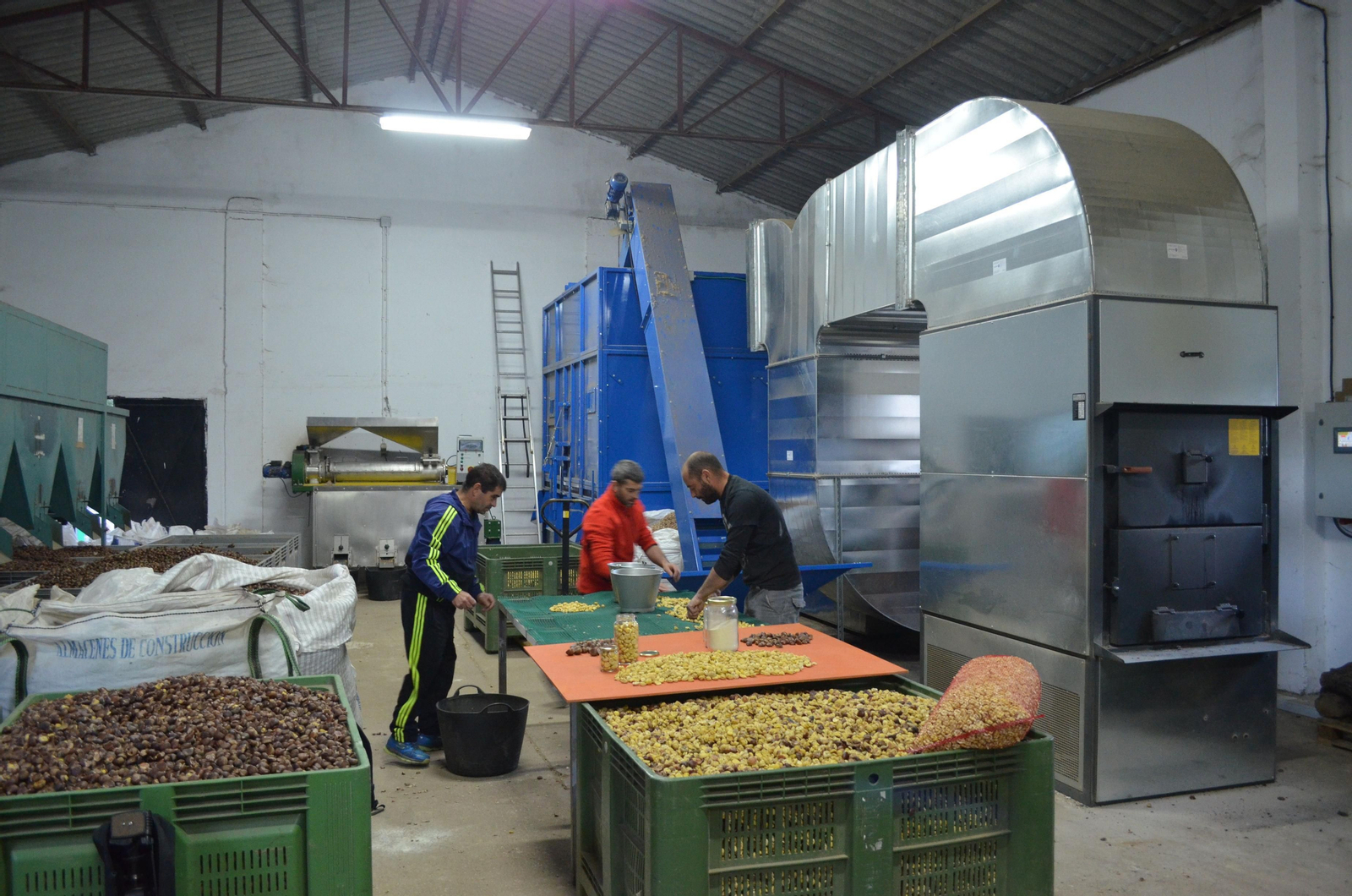 Varios de los trabajadores en el nuevo secadero.