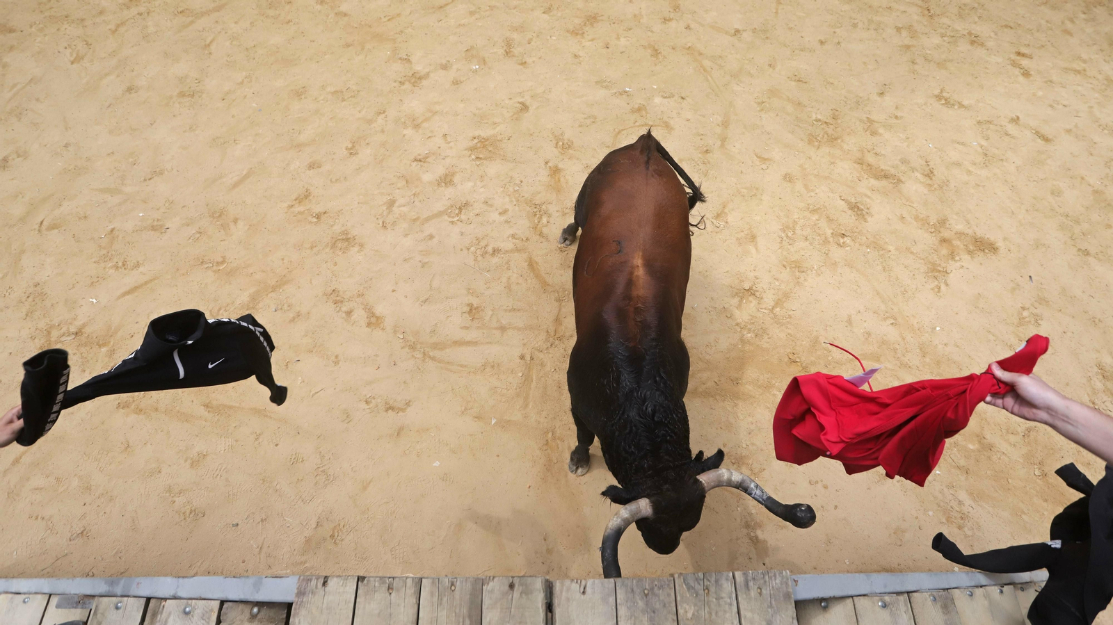 Imágenes del Toro Embolao de Los Barrios