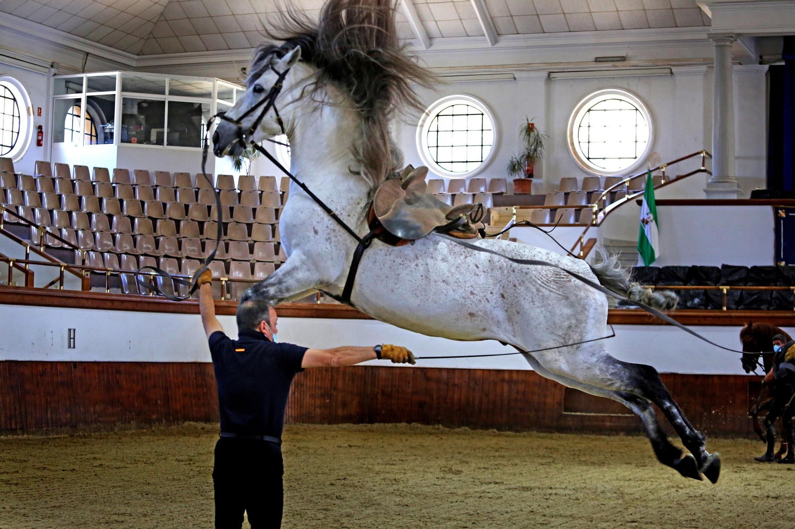 Real Escuela de Arte Ecuestre,Coronavirus