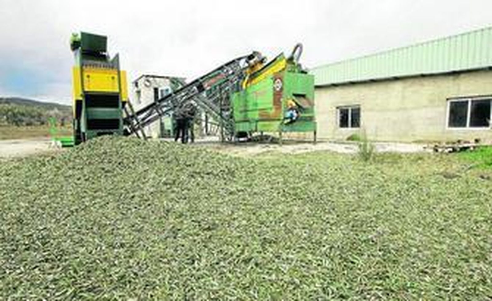 Una de las almazaras localizadas en la provincia, concretamente en el municipio de Fiñana.