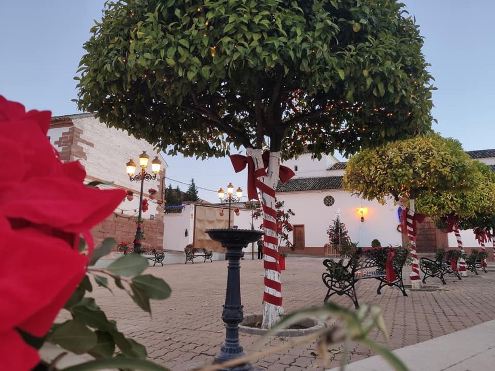 BUJALANCE (ALDEA DE MORENTE).