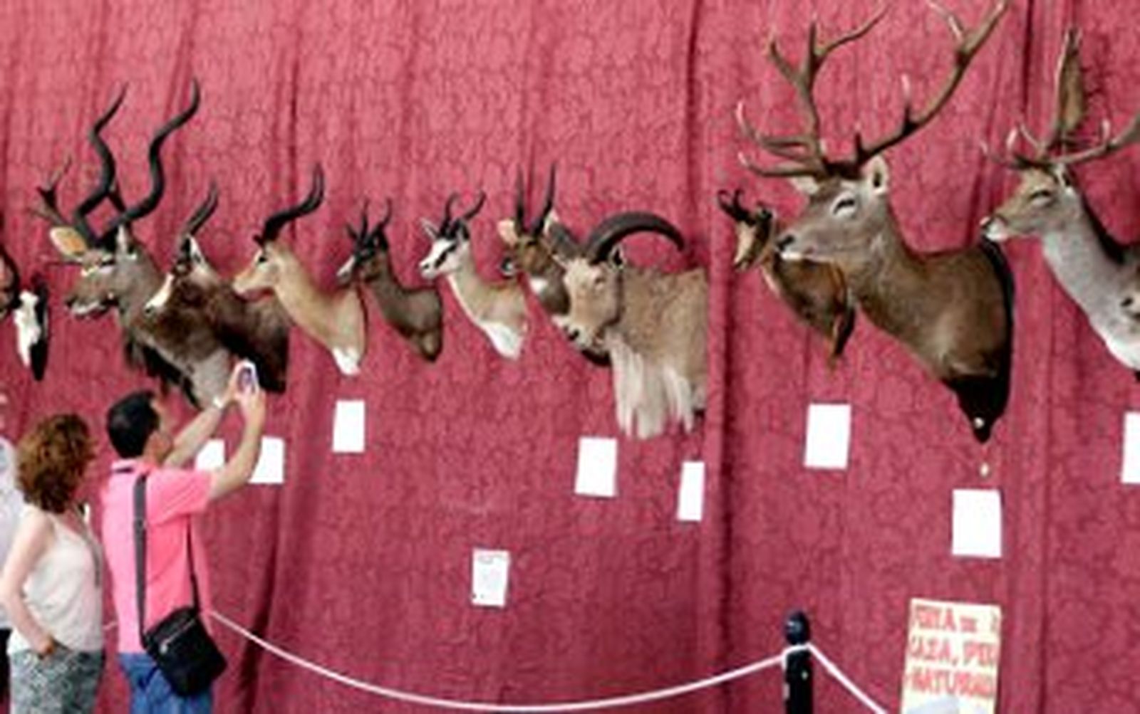 Exitosa Feria de la Caza, Pesca y Naturaleza en la sede de Ifeca