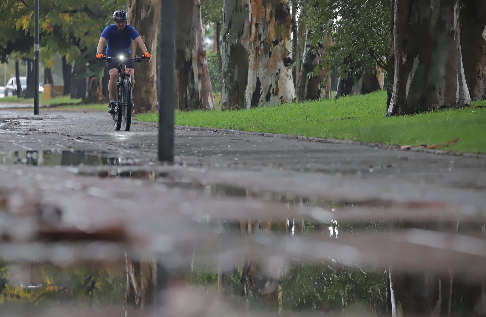 Las primeras lluvias de otoño, en imágenes