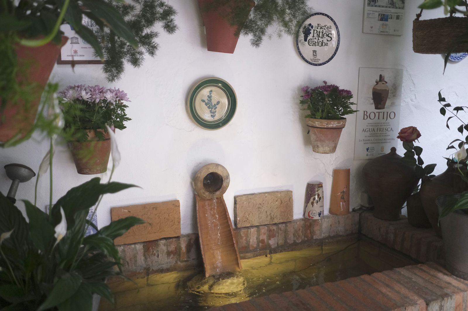 El último día del Festival de los Patios de Córdoba 2022, en imágenes