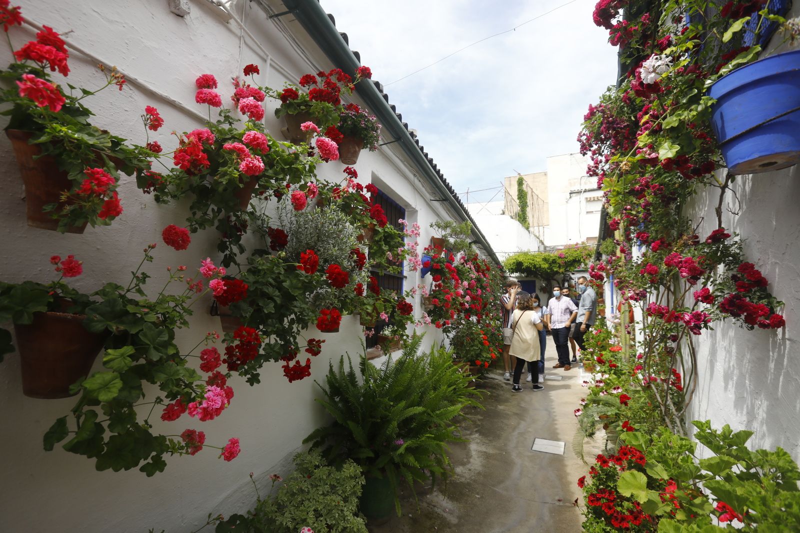 Fotografías: Sábado de colas y bulla en los Patios de Córdoba