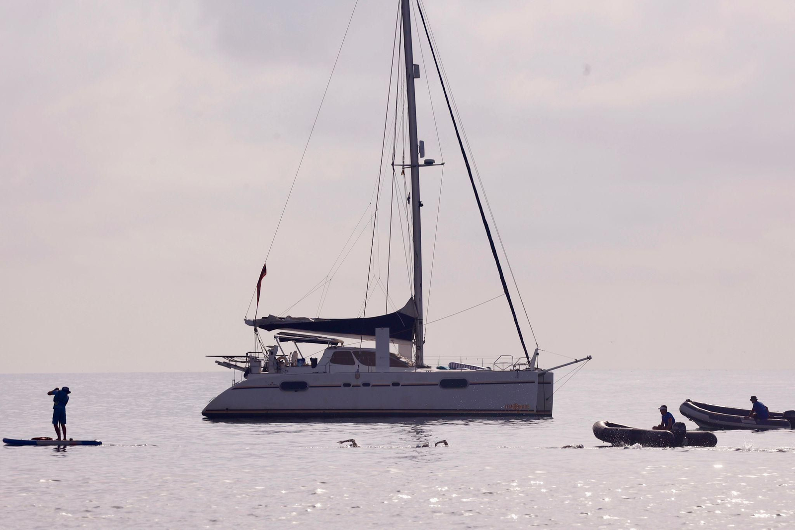 La Travesía a Nado Memorial Tomás García Zamudio de Málaga, en imágenes