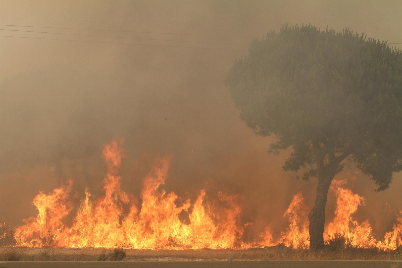 Las imágenes del incendio en Moguer y Mazagón
