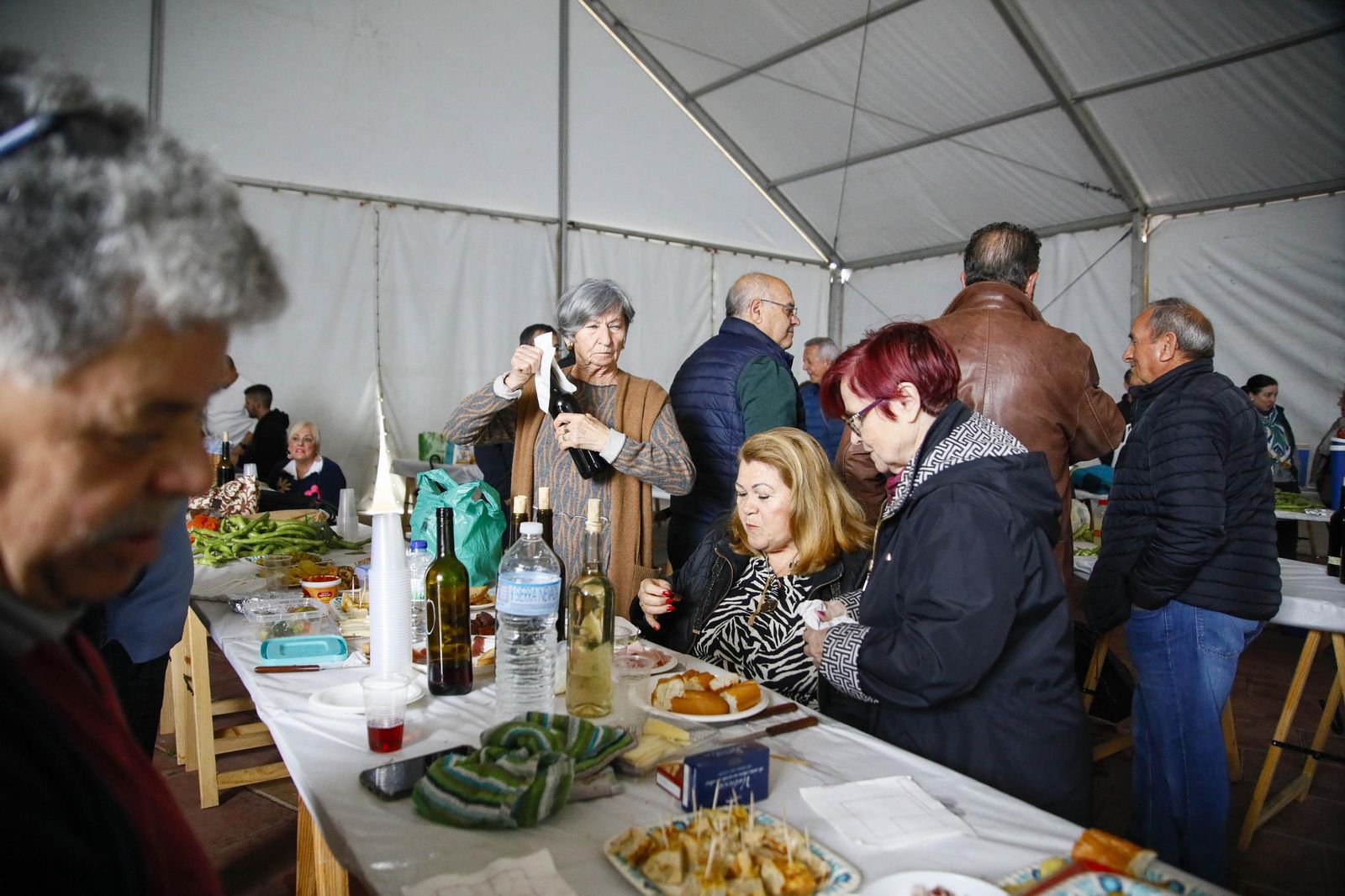 XXIX Cata de Vinos Artesanos de Benahadux