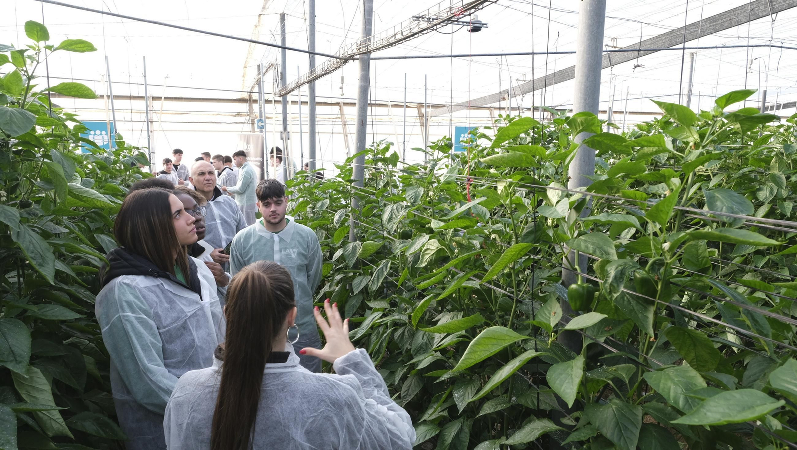 Jornada de puertas abiertas en la Estación Experimental Cajamar Las Palmerillas, en fotos