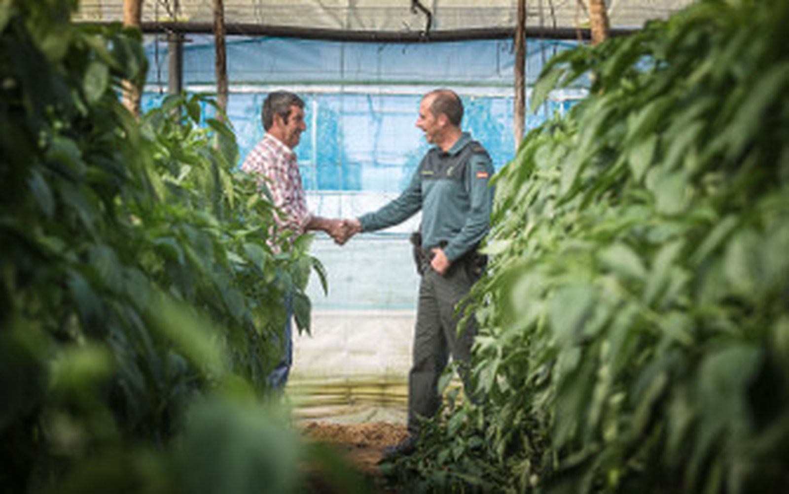 Ponerle puertas al campo