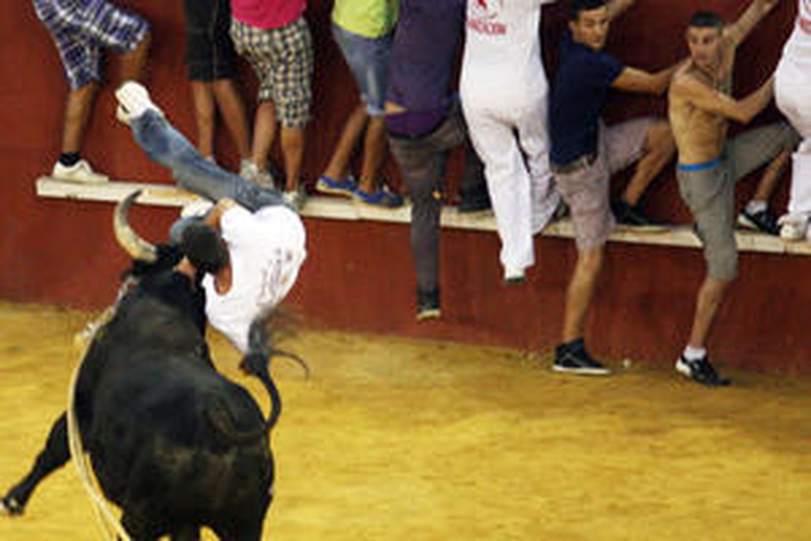 Con la suelta del llamado Toro del Aguardiente se pone el broche de oro a la feria de la localidad. No hubo que lamentar graves incidentes./Fotos:Paco Guerrero

Foto: Paco Guerrero