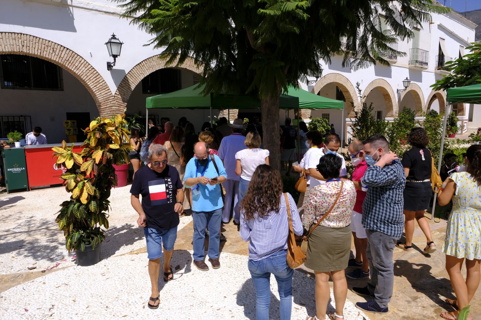 Fotogalería de las Fiestas del Cristo de la Luz. Dalías.