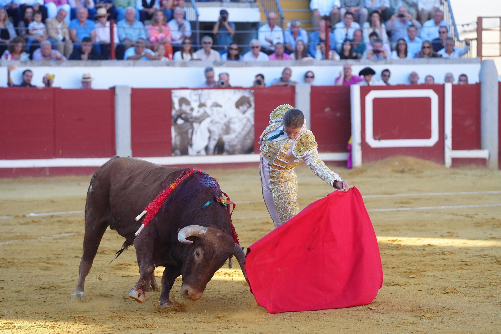 El triunfo de Rocío Romero, Manzanares y Roca Rey en la plaza de toros Pozoblanco, en imágenes