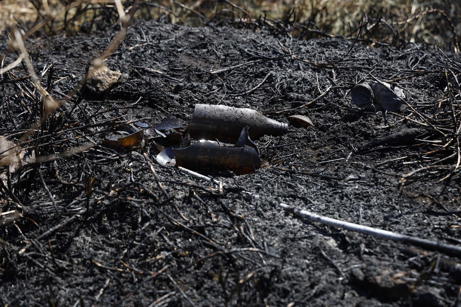 Así ha quedado la zona quemada por el incendio en el Paseo de la Cornisa de Algeciras