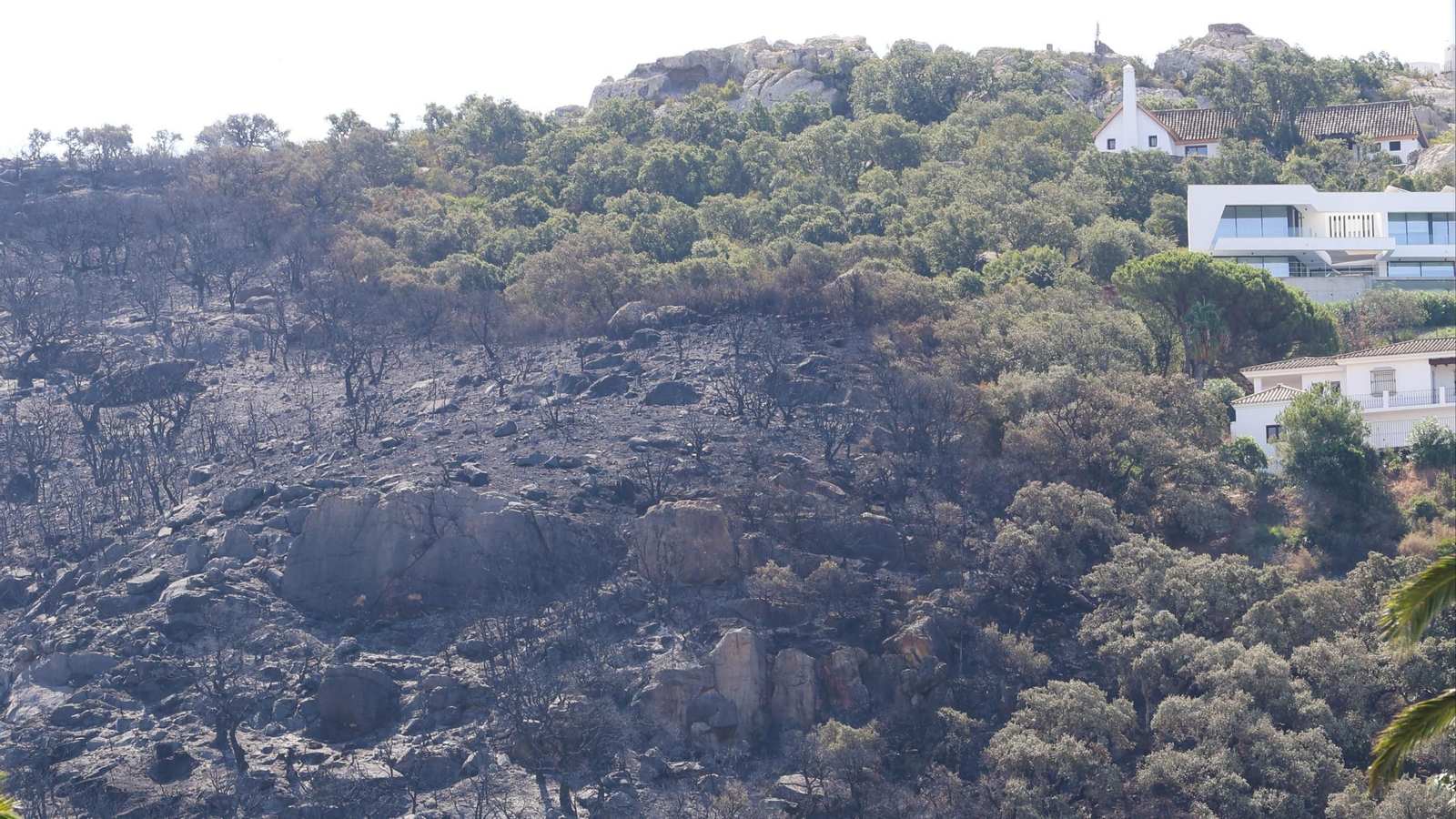 Las fotos de los efectos del incendio forestal en la Sierra de la Plata y Atlanterra, en Tarifa