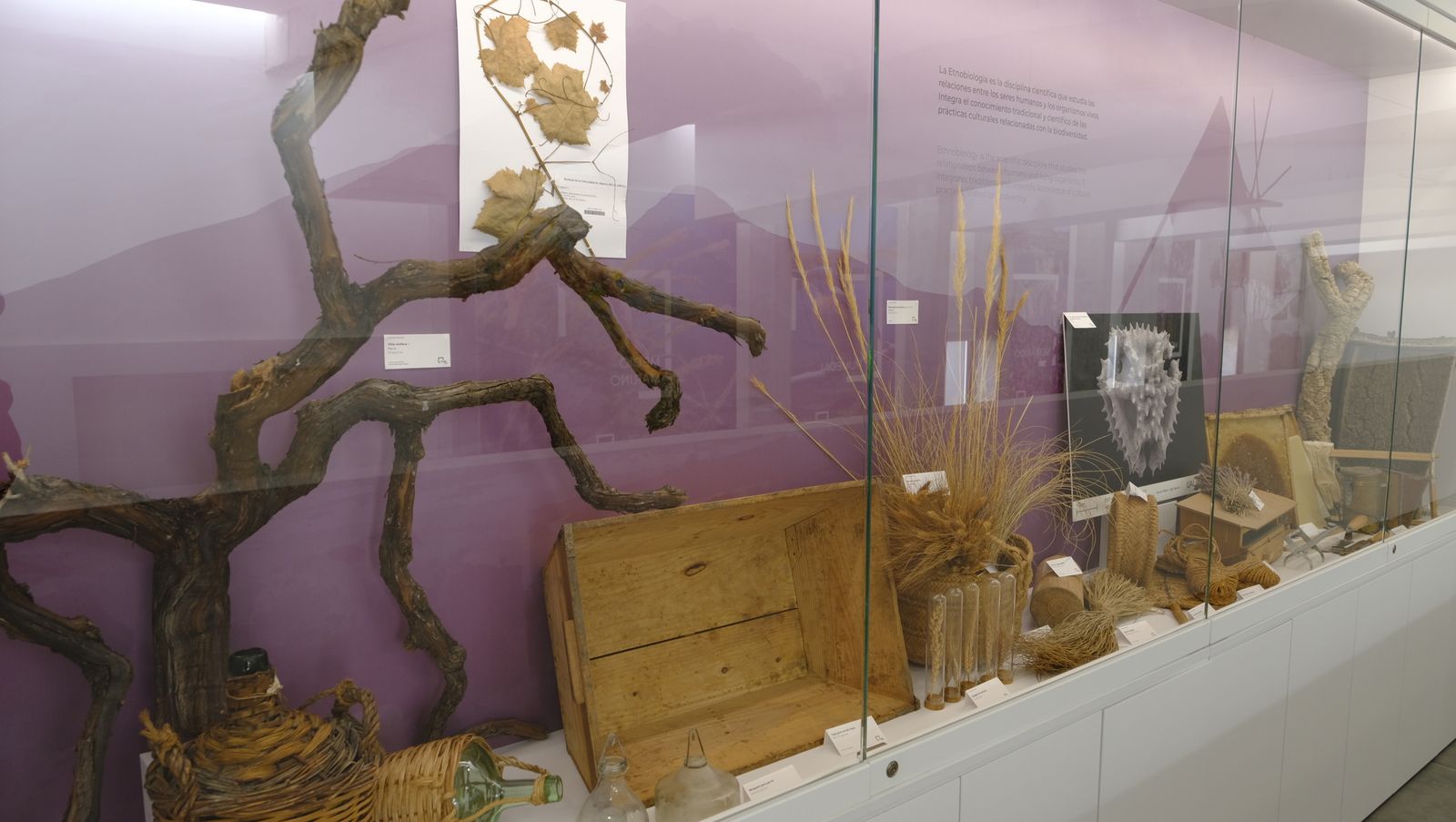 Las mejores imágenes del Pabellón de Historia Natural de la UAL