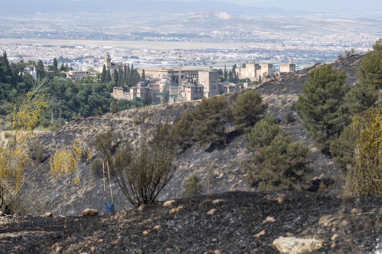 Cerro de San Miguel, quemado