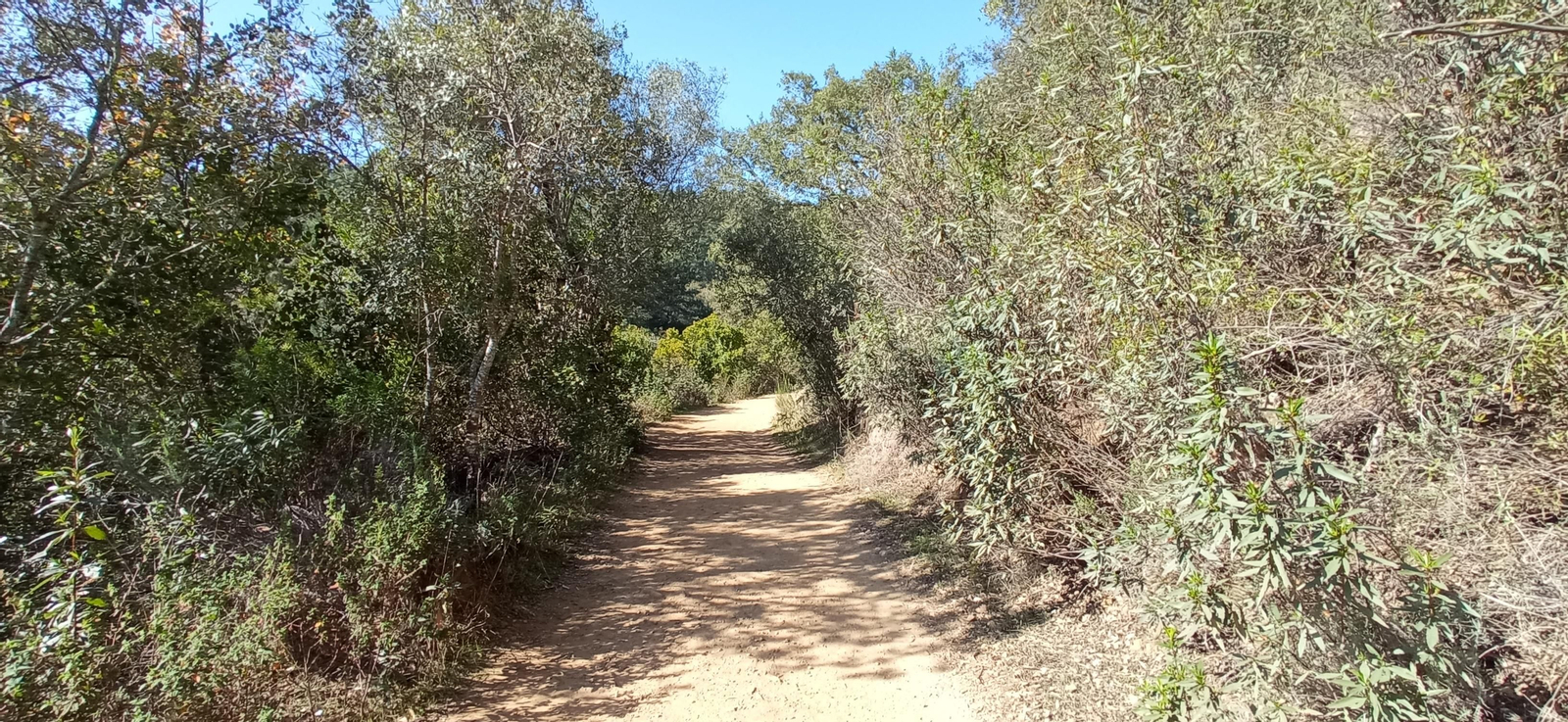 Las imágenes de la ruta de la cascada de Jollarancos y bosque de las letras