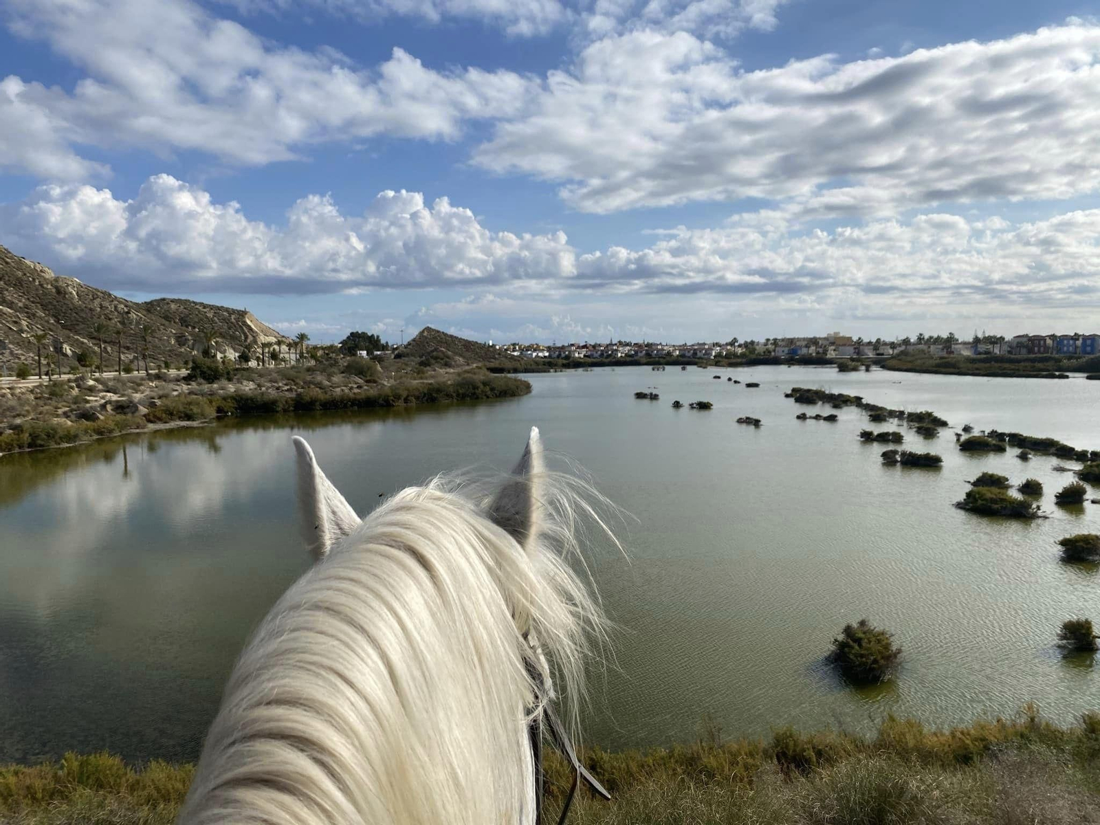 Las rutas guiadas a caballo por el humedal.