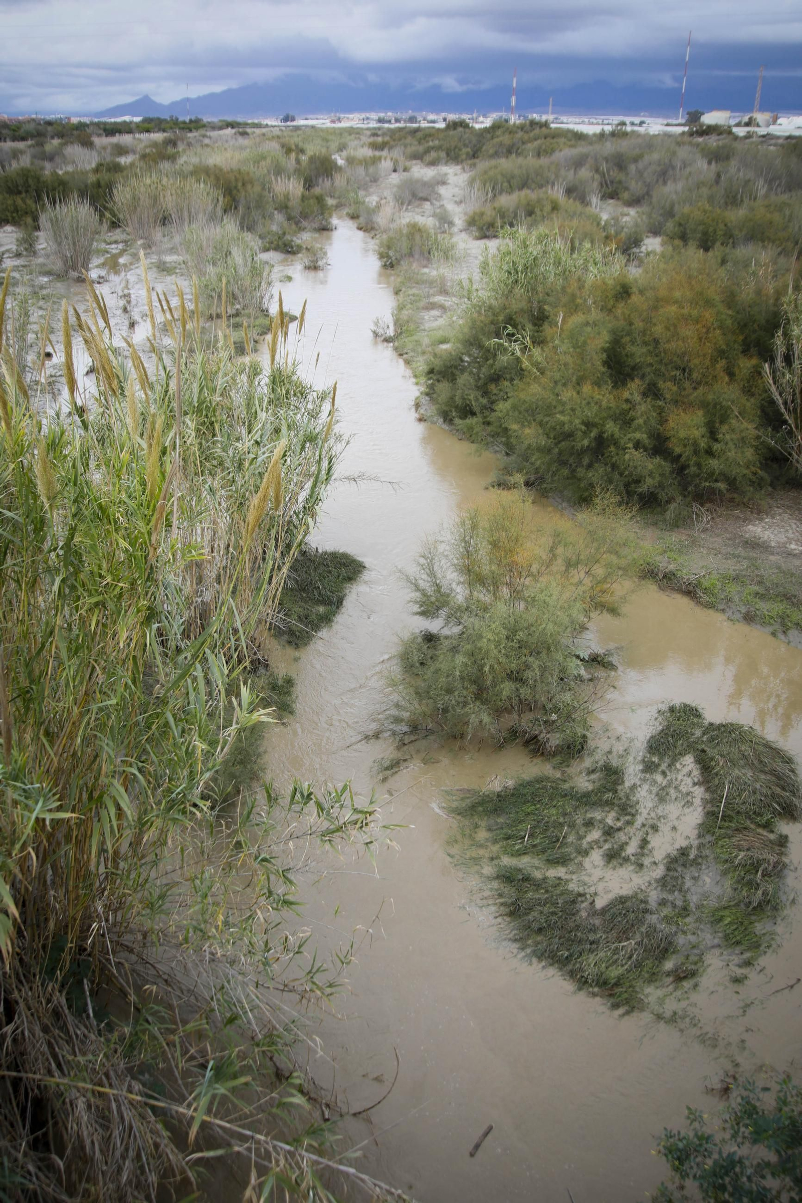 La desembocadura del río Andarax, en imágenes
