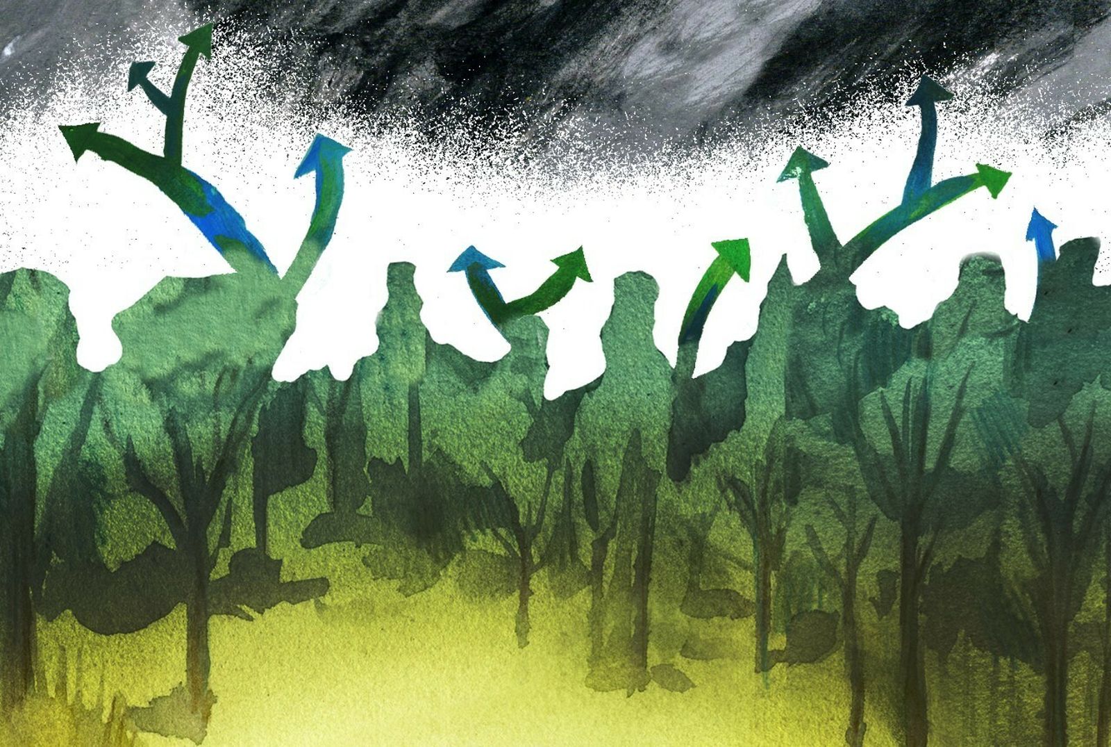 Emergencia climática