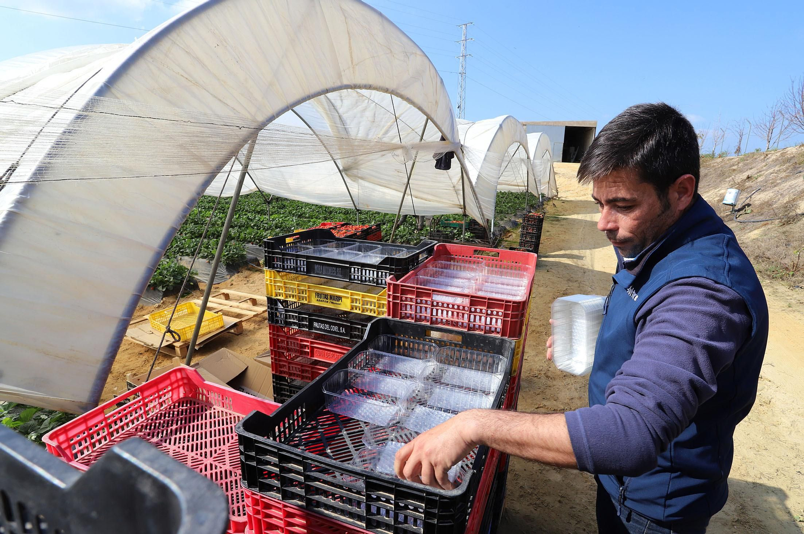 Imágenes de la realidad del trabajo en el campo